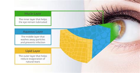 test ph pf tears|aqueous layer of tear film.